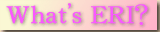 ERI �Ƃ́H